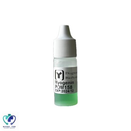 آنتی بادی DBS 3ml Myogenin