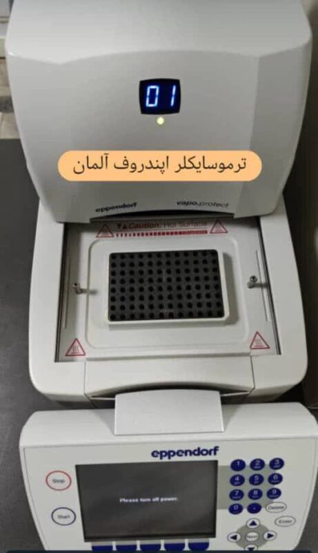 ترموسایکلر اپندورف Eppendorf